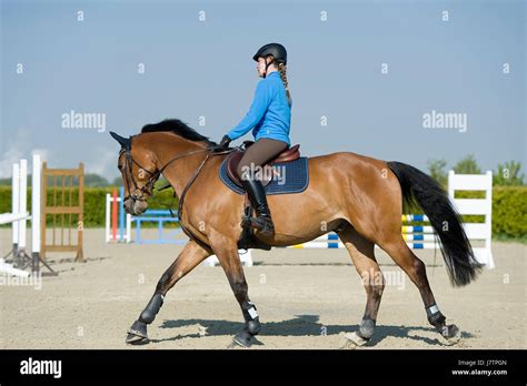 riding pics|403,083 Horseback Riding Stock Photos & High.